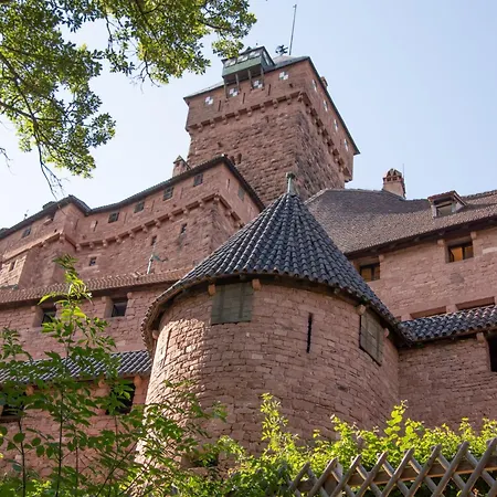 Camping Du Haut-koenigsbourg - Onlycamp *