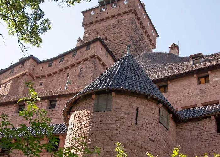 אתר קמפינג Du Haut-koenigsbourg - Onlycamp *